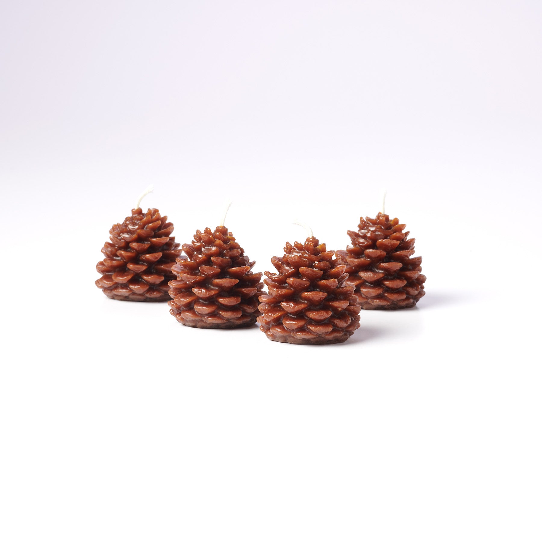 Wee Pine Cones - Thumbnail 2